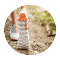 Learn More About Our Insect Allergy Testing Services