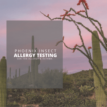 Our Phoenix Insect Allergy Testing Services Arizona
