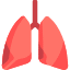 pulmonary breathing test near chandler 85249 