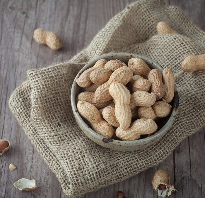 Myth or Fact: Danger from Inhalation of Peanut Dust or Vapors