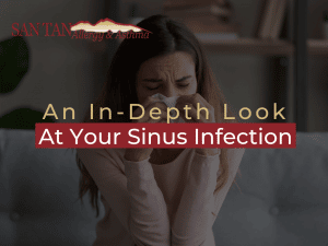 An In-Depth Look At Your Sinus Infection