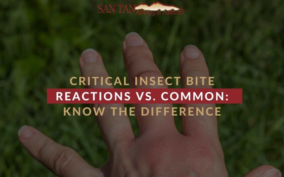 Blog - San Tan Allergy & Asthma