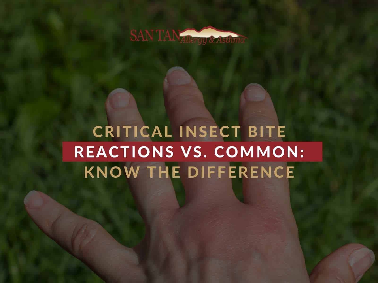 Critical Insect Bite Reactions Vs. Common: Know The Difference