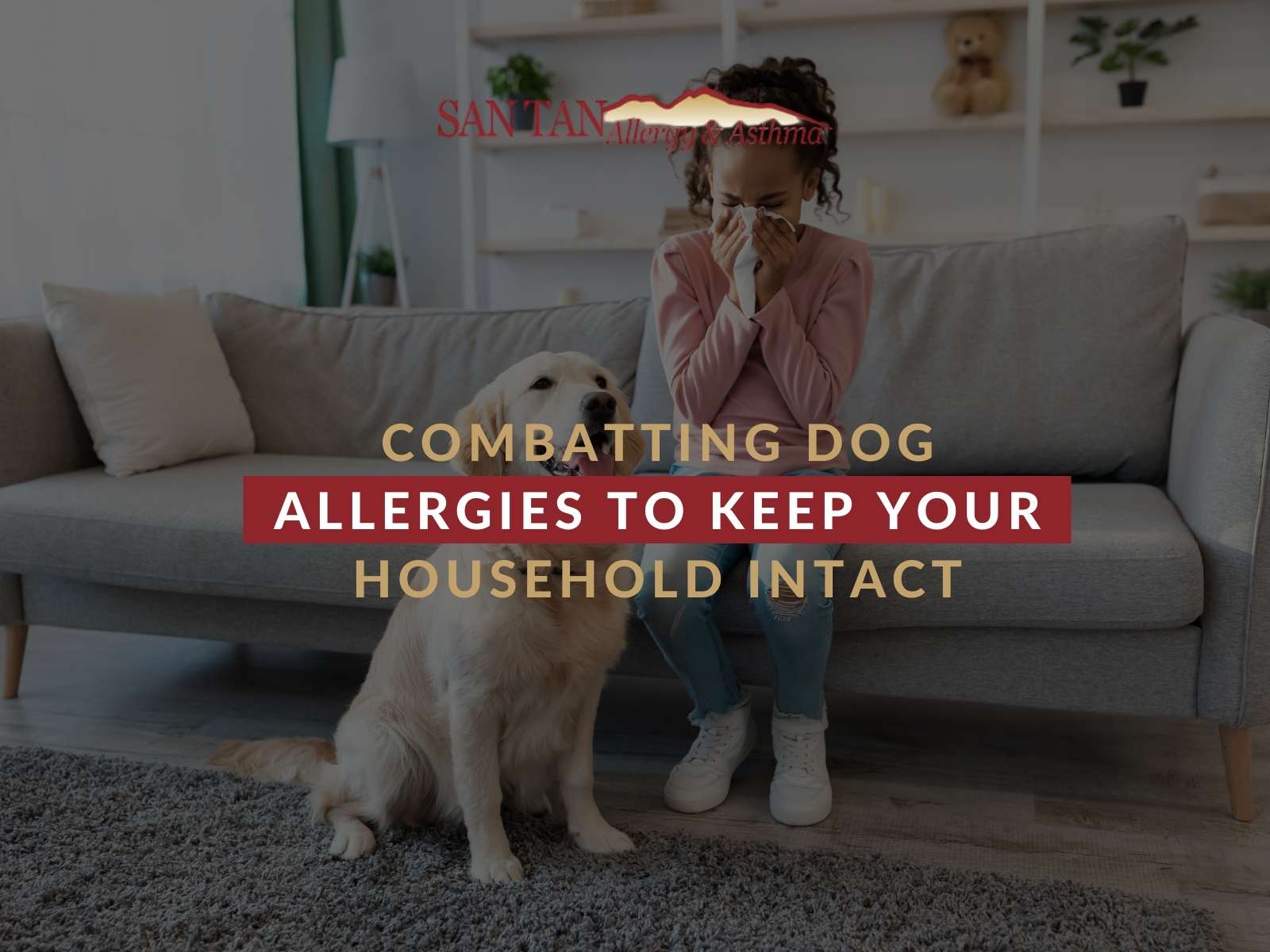 Combatting Dog Allergies To Keep Your Household Intact
