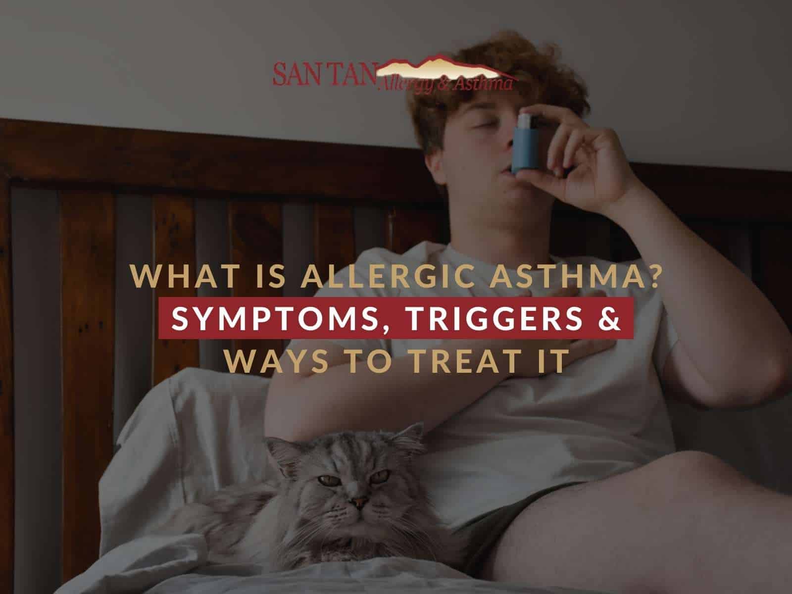 What Is Allergic Asthma Symptoms, Triggers & Ways To Treat It