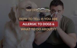 How To Tell If You Are Allergic To Dogs & What To Do About It