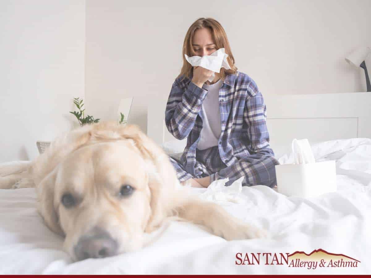 Dog Allergies: Symptoms, Causes & Natural Remedies